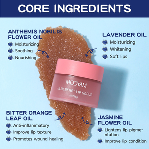 Private Label OEM Blueberry <b>Lip</b> Scrub Moisturize And Smooth <b>Lips</b> Brighten <b>Lip</b> Color Fade <b>Lip</b> Lines And Remove Wrinkles <b>Lip</b> Care - Product Image 2