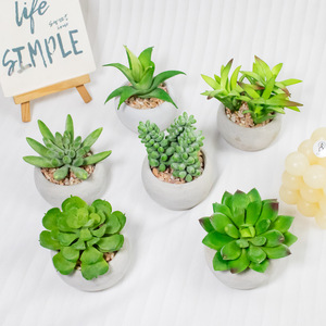 Nouveaux pots à succulentes en céramique plastique artificielle, décoration de bureau mignonne et réaliste, pots à succulentes uniques - Product Image 3