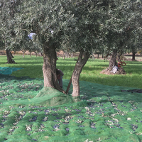 Filet de récolte d'olivier vert rete antispina, en hdpe, en grèce, italie, 10x12