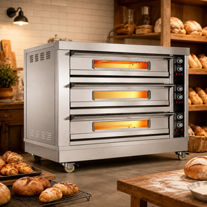 Horno de Gas para Restaurante, Uso Industrial y Comercial, Acero Inoxidable, Certificado CE, Directo de Fábrica, Personalizado - Product Image 1