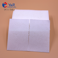 Le détergent de blanchisserie de lavage Liquidless biodégradable écologique sans phtalate couvre/bandes
