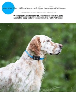 Mini <span class=keywords><strong>Rastreador</strong></span> GPS Inteligente para Mascotas, Dispositivo <span class=keywords><strong>de</strong></span> Rastreo GPS para Perros, Gatos y Otros Animales - Product Image 3