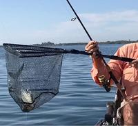 Topind Pliable Filet D'atterrissage de Pêche avec Télescopique Pliable En Aluminium Pôle Manche, Maille Durable avec Revêtement En Caoutchouc