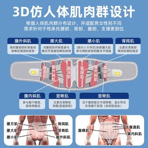 เข็มขัดพยุงหลังทางการแพทย์สำหรับหมอนรองกระดูกเคลื่อนและกล้ามเนื้อหลังบาดเจ็บ เหมาะสำหรับผู้ชายและผู้หญิง ใช้ได้เป็นเวลานาน - Product Image 3