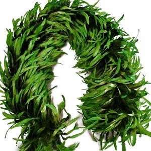 Cola <span class=keywords><strong>de</strong></span> gallo <span class=keywords><strong>de</strong></span> <span class=keywords><strong>2</strong></span> <span class=keywords><strong>metros</strong></span> <span class=keywords><strong>de</strong></span> largo, plumas <span class=keywords><strong>de</strong></span> baile <span class=keywords><strong>de</strong></span> Samba Boa <span class=keywords><strong>para</strong></span> espectáculo <span class=keywords><strong>de</strong></span> escenario, espectáculo <span class=keywords><strong>de</strong></span> conversación, decoración <span class=keywords><strong>de</strong></span> fiesta, oferta, precio <span class=keywords><strong>de</strong></span> fábrica - Product Image 6