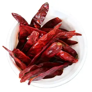 Orgânico HALAL KOSHER HACCP Pimenta Vermelha Em Pó/Bloco/Cortado/Anéis Novo Estoque Red Chili Ervas Especiarias Em Massa