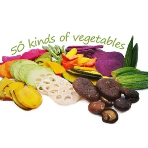 Snack de frutas deshidratadas a granel TTN snacks de frutas y verduras crujientes al por mayor