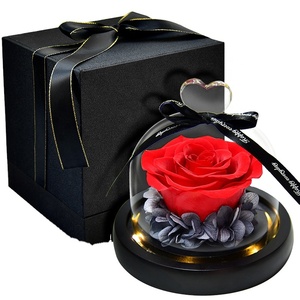 Roses éternelles de haute qualité sous dôme de verre, fleur préservée, plante immortelle, <span class=keywords><strong>la</strong></span> <span class=keywords><strong>belle</strong></span> <span class=keywords><strong>et</strong></span> <span class=keywords><strong>la</strong></span> bête, pour un cadeau de noël - Product Image 6
