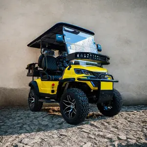 TONGCAI Off Road sokak yasal 48v 72v lityum pil Karts araba Buggy 2 4 6 koltuklu Carrito De elektrik Golf arabası