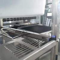 Système d'arrosage automatique de support d'élevage de souris d'acier inoxydable de ligne d'eau cachée de colonne simple de sept niveaux