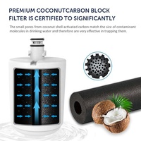 Cartouche de filtre à eau pour réfrigérateur en charbon actif en gros, taille des pores de 0,5 µm, certifiée NSF42, 300 GPD pour L-G