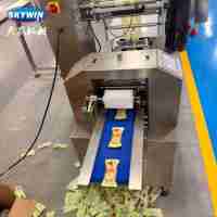 Machine d'emballage automatique Skywin pour biscuits et craquelins