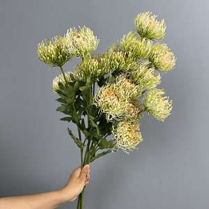 Fleur artificielle Pin Cushion d'Afrique du Sud pour aménagement paysager, plante décorative de jardin, décoration intérieure, fleurs en plastique, herbe synthétique - Product Image 3