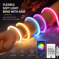Luxuriöses IP67 PVC LED Neon Flex RGB Musik-Synchronisations-Lichtband mit Regenbogeneffekt, 220V, 50m Rolle für Landschafts- und Architekturbeleuchtung im Außenbereich