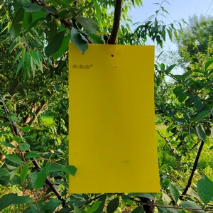 Pièges collants jaunes de jardinage inodores de 20cm * 30cm pour moucherons de champignon, pucerons