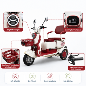รถสามล้อสำหรับผู้ใหญ่ มอเตอร์ 800 วัตต์ ประสิทธิภาพสูง รถสามล้อรับจ้าง รถมอเตอร์ไซค์ แท็กซี่เชิงพาณิชย์ และบริการท่องเที่ยว แบบสองที่นั่ง - Product Image 4