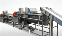 Industriële automatische fruit- en groentewaslijn voor bladgroenten en wortelgewassen, inclusief productie-apparatuur met bubbelwasser