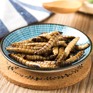 Fournisseur leader d'exportation de vers de farine supermarchés, scellés sous vide, éco-frais, pour l'alimentation des reptiles - Product Image 1
