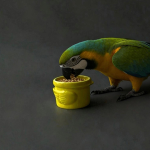 Bol d'alimentation pour animaux de compagnie en céramique de qualité alimentaire, design antibactérien à ions négatifs, sans plomb, sans cadmium, abreuvoir pour animaux de compagnie - Product Image 5