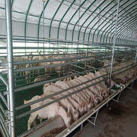 Conception moderne structure préfabriquée en acier pour porc/chèvre/mouton/laitier/bovin/vache maison de ferme grange maison préfabriquée