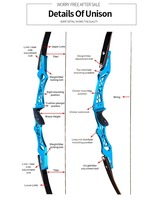 Ensemble d'arc recurve Topoint Unison 25 pouces avec poignée en aluminium 6061-T6, interface ILF, kit complet de tir à l'arc pour le tir sur cible et la compétition
