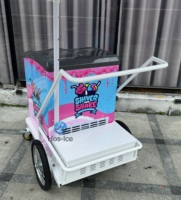 Chariot de vente ambulante pour desserts, glaces italiennes, avec refroidissement direct, 2 portes et 2 étagères, congélateur de présentation pour bâtonnets glacés