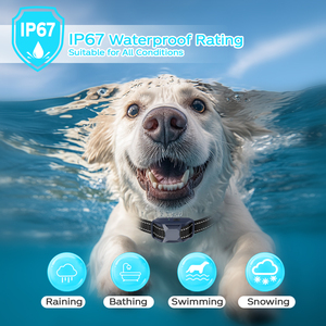 2 1 में बीप कंपन के साथ कोई सदमे कुत्ता प्रशिक्षण कॉलर दोहरी कंपन के साथ एक झटका कुत्ता प्रशिक्षण कॉलर - Product Image 4