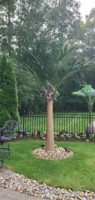 Künstliche Palmen für Innenräume Kokospalmen-Pflanzen mit Blättern 2m Outdoor Washington Künstlicher Palmenbaum