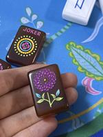 Juego de 160 fichas de mahjong acrílicas de una sola capa con patrón de caparazón de tortuga para el mercado estadounidense de mahjong, en oferta.