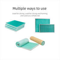 Filter Penyerap Cat Baru yang Dapat Disesuaikan, Bahan Non Woven Fiberglass, Kapasitas Tinggi, Filter Udara Pra-Saring untuk Ruang Semprot Otomotif dan Industri