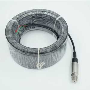 Bộ điều khiển áp suất mực nước chìm 4-20mA IP68 0-100M SS304/SS316L cho giếng và hồ bơi - Product Image 1