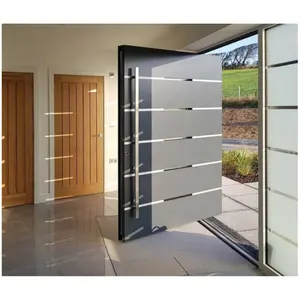 Modern New Design Exterior Luxury Steel Metal Wooden Pivot Entry Front Doors With Side lights