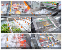 800-1200kg/uur Groente- en fruitwasserlijn Aardbei Appel Citroen Avocado Passievrucht Wasmachine Groentewaslijn