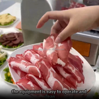 Machine à trancher la viande congelée semi-automatique, équipement de découpe de précision pour bœuf, mouton, restaurants de fondue, en acier inoxydable 304