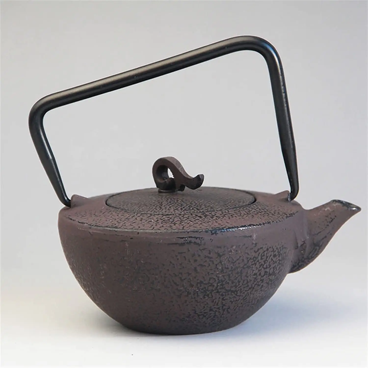 Gusseisen Teekanne Set Japanische Teekanne Wasserkocher Trink geschirr Kung Fu Werkzeuge Edelstahl Sieb Tee kessel 450ml