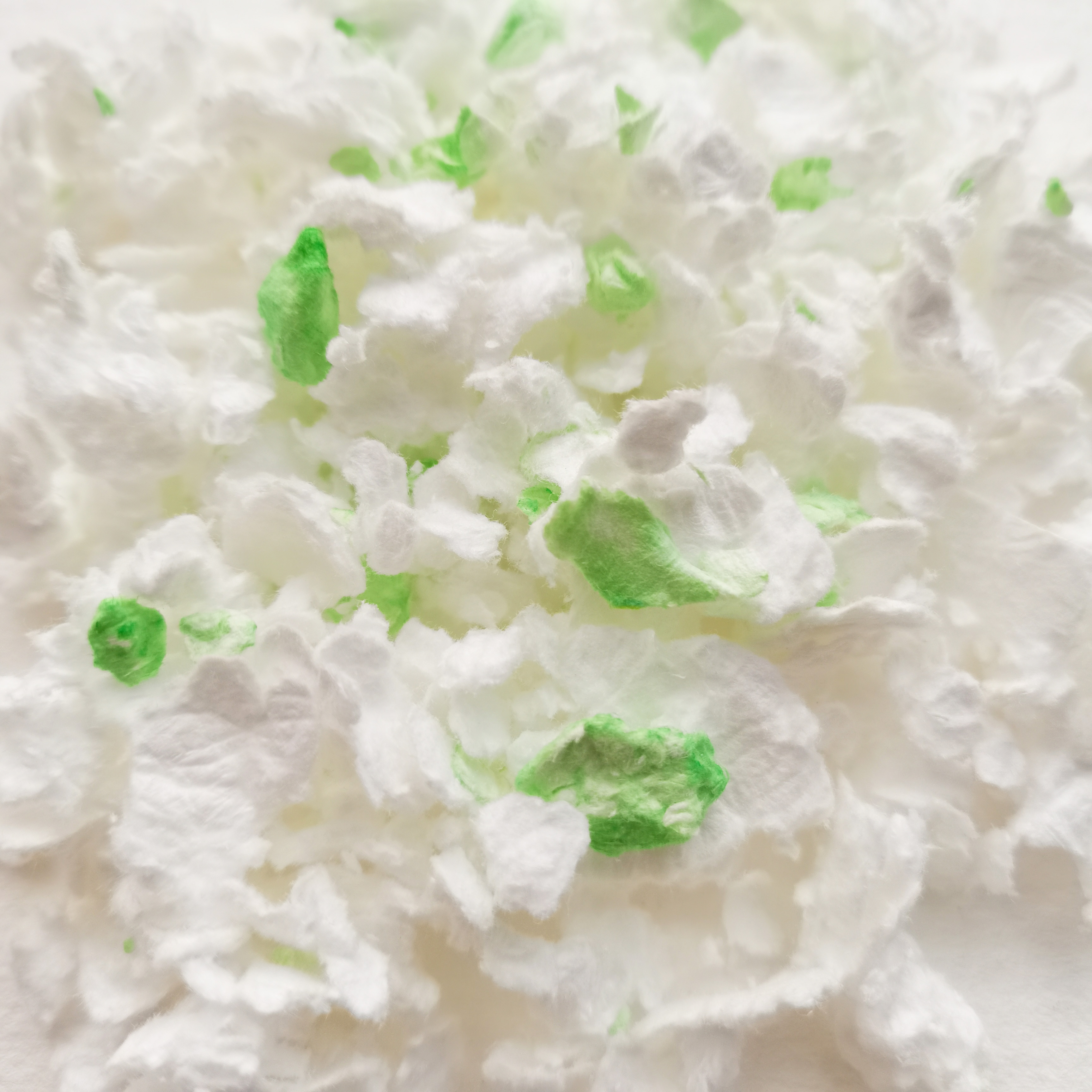 Blanc + vert