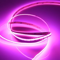 Meistverkaufte LED-Streifenbeleuchtung Bluetooth APP 12V 5050 COB USB Smart Streifenbeleuchtung TV-Hintergrundbeleuchtung Rosa Farbige LED-Streifen für Zuhause
