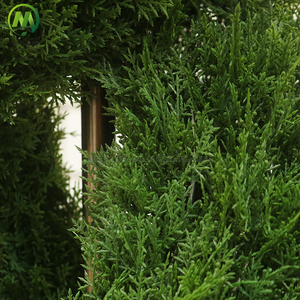 Nuevos Estilos <span class=keywords><strong>de</strong></span> Árboles Bonsái Artificiales Decorativos para Interiores/Exteriores, Planta Verde <span class=keywords><strong>de</strong></span> Plástico, Topiario <span class=keywords><strong>de</strong></span> Fibra <span class=keywords><strong>de</strong></span> Vidrio, Árbol <span class=keywords><strong>de</strong></span> <span class=keywords><strong>Buxus</strong></span> Verde en Espiral - Product Image 6