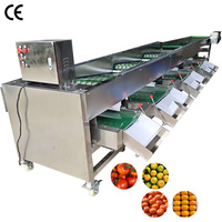 Automatische mandarijn sorteermachine, tomaat- en persimmon sorteermachine prijs
