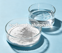 4KDAFactory Bubuk Sodium Hyaluronate Kelas Makanan, Bahan Baku Massal untuk Formula Bubuk & Cairan Oral untuk Kesehatan