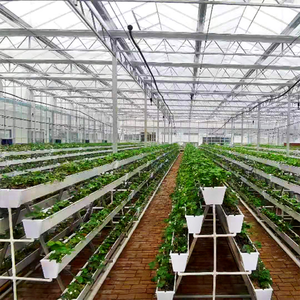 גידול נוץ nft צינור צינור צינור pvc מרובע חקלאות הידרופונית - Product Image 4