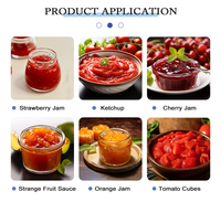 Longkun grootschalige productielijn voor diepvries-tomaten, continue lijn voor de verwerking van tomatensap, bespaart kosten en verhoogt de productie.