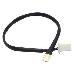 Sensor de Temperatura de Cabeza de Cilindro Tipo Chip Lanmo de 22cm, Nuevo, Accesorio para Motocicleta, Precio de Fábrica, 220325 - Product Image 2