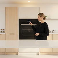 Four à convection/turbo électrique encastrable domestique à vitre simple 75L avec contrôle numérique par minuterie 2000W, contrôlable par application pour hôtels