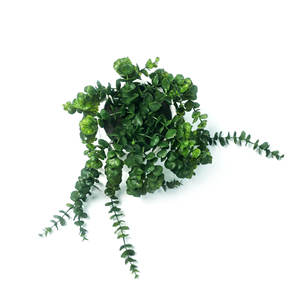 Plante artificielle d'<span class=keywords><strong>eucalyptus</strong></span> hautement réaliste en <span class=keywords><strong>pot</strong></span> en céramique pour la décoration intérieure et extérieure de la maison, des mariages, de Noël et des hôtels - Product Image 4
