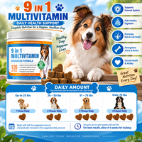 Complément alimentaire pour chien 9-en-1 sous marque blanche – Bouchées tendres saveur poulet pour le soutien immunitaire, digestif, cutané et pelliculaire – Fabricant OEM