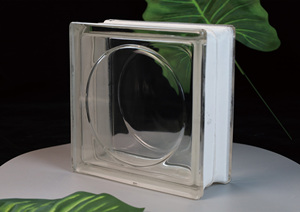 Bloque de Vidrio Texturizado Personalizado de Fábrica JingHua, Ladrillo de Vidrio Transparente Hueco de 190x190x80mm, Decoración Pintada - Product Image 2