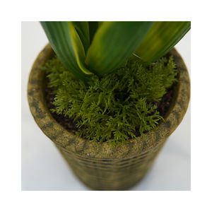 All'ingrosso fiore artificiale succulento giallo fiore realistico per interni decorativi per esterni Mini Bonsai in vaso - Product Image 5