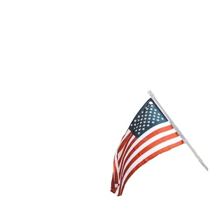 Bandera Personalizada de Alta Calidad para Días Festivos, Impresión Digital por Sublimación, Poliéster Bordado, Tamaño Personalizado, Bandera de Pared para Exteriores - Product Image 5