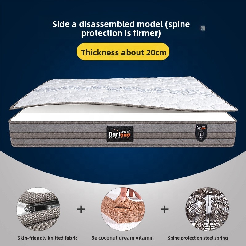 Un tipo (modello di protezione della colonna vertebrale)